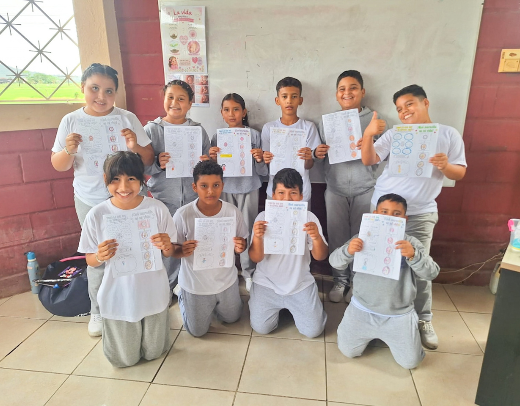 Vinculación 8
