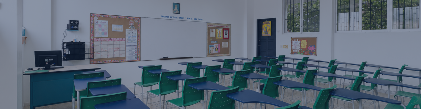 Image Alt